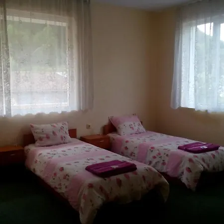 Family Drumex Hotel Rudozem