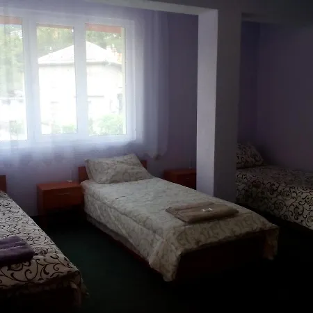 Family Drumex Hotel *